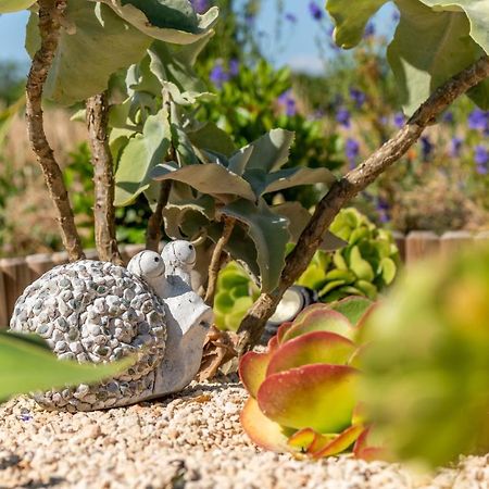 S'Hortet Alcudia  Dış mekan fotoğraf